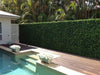 Luxury Mixed Ivy Artificial Hedge Panel 1m x 1m – SGS UV Resistant - Designer Vertical Gardens artificial garden wall plants artificial green wall australia