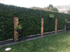 Luxury Mixed Ivy Artificial Hedge Panel 1m x 1m – SGS UV Resistant - Designer Vertical Gardens artificial garden wall plants artificial green wall australia