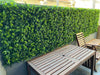 Luxury Mixed Ivy Artificial Hedge Panel 1m x 1m – SGS UV Resistant - Designer Vertical Gardens artificial garden wall plants artificial green wall australia