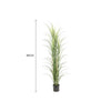 Luxury Tall Potted Artificial Grass Plant UV Proof 180cm - Designer Vertical Gardens Articial Trees Artificial Plants