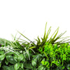 Luxury Urban Greenery Vertical Garden Green Wall Panel 1m x 1m – SGS UV Resistant - Designer Vertical Gardens artificial garden wall plants artificial green wall australia