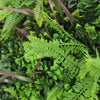 Luxury Verdant Fern Vertical Garden Green Wall Panel 1m x 1m – SGS UV Resistant - Designer Vertical Gardens artificial vertical garden melbourne artificial vertical garden plants