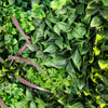 Luxury Verdant Fern Vertical Garden Green Wall Panel 1m x 1m – SGS UV Resistant - Designer Vertical Gardens artificial vertical garden melbourne artificial vertical garden plants