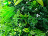 Luxury Wild Tropics Vertical Garden Green Wall Panel 1m x 1m – SGS UV Resistant - Designer Vertical Gardens artificial garden wall plants artificial green wall installation