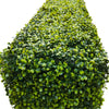 Mixed Boxwood Hedge UV Resistant 75cm Long X 75cm High - Designer Vertical Gardens artificial hedge australia artificial hedge fence panels