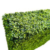 Mixed Boxwood Hedge UV Resistant 75cm Long X 75cm High - Designer Vertical Gardens artificial hedge australia artificial hedge fence panels