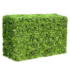 Mixed English Boxwood Artificial Hedge UV Resistant 1m long x 50cm - Designer Vertical Gardens artificial garden wall plants artificial green wall australia