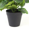 Mixed White Flowering Potted Artificial Pansy Plants 25cm - Designer Vertical Gardens Artificial Shrubs and Small plants Flowering plants