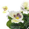 Mixed White Flowering Potted Artificial Pansy Plants 25cm - Designer Vertical Gardens Artificial Shrubs and Small plants Flowering plants