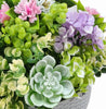 Modern Hanging Faux Succulent Bowl – UV Protected (36cm) - Designer Vertical Gardens Artificial Plants