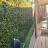 Natural Buxus Artificial Hedge Panel 1m x 1m – SGS UV Resistant - Designer Vertical Gardens artificial garden wall plants artificial green wall australia