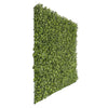 Natural Buxus Artificial Hedge Panel 1m x 1m – SGS UV Resistant - Designer Vertical Gardens artificial garden wall plants artificial green wall australia
