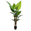 Nearly Natural Artificial 170cm Tall Taro Plant / Giant Elephant Ear Plant - Designer Vertical Gardens Artificial Trees Artificial Trees for Balconies