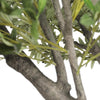 Nearly Natural Extra Larger Olive Tree With Olives 285cm