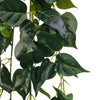 Lush Hanging Philodendron Trail – UV Protected Greenery (110cm) - back view