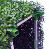 Portable Boxwood Hedge 100cm x 75cm - UVTEX Certified UV Resistant - Designer Vertical Gardens artificial garden wall plants artificial green wall australia