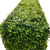 Portable Light Boxwood Hedge 1m x 1m - UVTEX Certified UV Resistant - Designer Vertical Gardens artificial garden wall plants artificial green wall australia