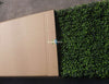 Portable Pittosporum Hedge 1.5m x 1.5m - UVTEX Certified UV Resistant - Designer Vertical Gardens artificial garden wall plants artificial green wall australia