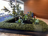 Portable Pittosporum Hedge 1m x 50cm - UVTEX Certified UV Resistant - Designer Vertical Gardens artificial garden wall plants artificial green wall australia