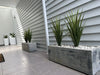 Potted Artificial Long Grass (Yucca Grass) 75cm UV Resistant - Designer Vertical Gardens Artificial Trees Dracena & Artificial Yucca