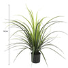 Potted Artificial Long Grass (Yucca Grass) 75cm UV Resistant - Designer Vertical Gardens Artificial Trees Dracena & Artificial Yucca