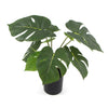 Potted Artificial Split Philodendron Plant With Real Touch Leaves 40cm - Designer Vertical Gardens Artificial Shrubs and Small plants Artificial Trees