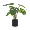 Potted Artificial Split Philodendron Plant With Real Touch Leaves 40cm - Designer Vertical Gardens Artificial Shrubs and Small plants Artificial Trees
