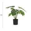 Potted Artificial Split Philodendron Plant With Real Touch Leaves 40cm - Designer Vertical Gardens Artificial Shrubs and Small plants Artificial Trees