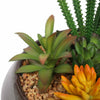 Potted Artificial Succulents with Round Decorative Bowl 19cm - Designer Vertical Gardens artificial succulents Artificial Trees