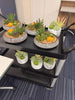 Potted Artificial Succulents with Round Decorative Bowl 19cm - Designer Vertical Gardens artificial succulents Artificial Trees