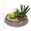 Potted Artificial Succulents with Round Decorative Bowl 19cm - Designer Vertical Gardens artificial succulents Artificial Trees