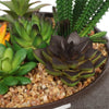 Potted Artificial Succulents with Round Decorative Bowl 19cm - Designer Vertical Gardens artificial succulents Artificial Trees