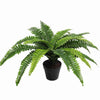 Potted Natural Green Artificial Boston Fern (50cm high 70cm wide) - Designer Vertical Gardens Artificial Shrubs and Small plants Artificial Trees