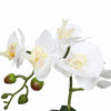 Potted Single Stem White Phalaenopsis Orchid with Decorative Pot 35cm - Designer Vertical Gardens Artificial Trees Flowering plants