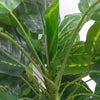 Premium Artificial Cordyline Fructicosa Green / Ti Plant 90cm - Designer Vertical Gardens Artificial Shrubs and Small plants Artificial Trees