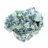 Premium Faux Hydrangea With Glass Vase (Artificial Flowering Blue Hydrangea) 23cm - Designer Vertical Gardens Artificial Trees Flowering plants