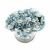 Premium Faux Hydrangea With Glass Vase (Artificial Flowering Blue Hydrangea) 23cm - Designer Vertical Gardens Artificial Trees Flowering plants