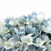 Premium Faux Hydrangea With Glass Vase (Artificial Flowering Blue Hydrangea) 23cm - Designer Vertical Gardens Artificial Trees Flowering plants