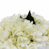 Premium Faux Hydrangea With Glass Vase (Artificial Flowering White Hydrangea) 23cm - Designer Vertical Gardens Artificial Trees Flowering plants