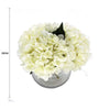 Premium Faux Hydrangea With Glass Vase (Artificial Flowering White Hydrangea) 23cm - Designer Vertical Gardens Artificial Trees Flowering plants