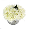Premium Faux Hydrangea With Glass Vase (Artificial Flowering White Hydrangea) 23cm - Designer Vertical Gardens Flowering plants