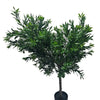 Premium Faux Olive Tree | 130cm | UV Resistant - Designer Vertical Gardens Articial Trees Artificial Plants