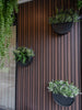 Premium Floating Half Moon / Semi Circle Metal Wall Planter | Onyx Black 35cm - Designer Vertical Gardens artificial green wall installation hanging plants