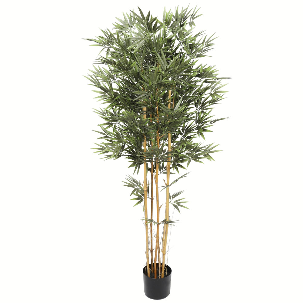 Premium Natural Cane Artificial Bamboo (UV Resistant) 150cm - Designer Vertical Gardens bamboos Bamboos and Palm