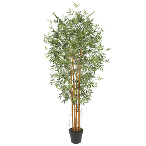 Premium Natural Cane Artificial Bamboo (UV Resistant) 180cm - Designer Vertical Gardens Artificial Trees bamboos
