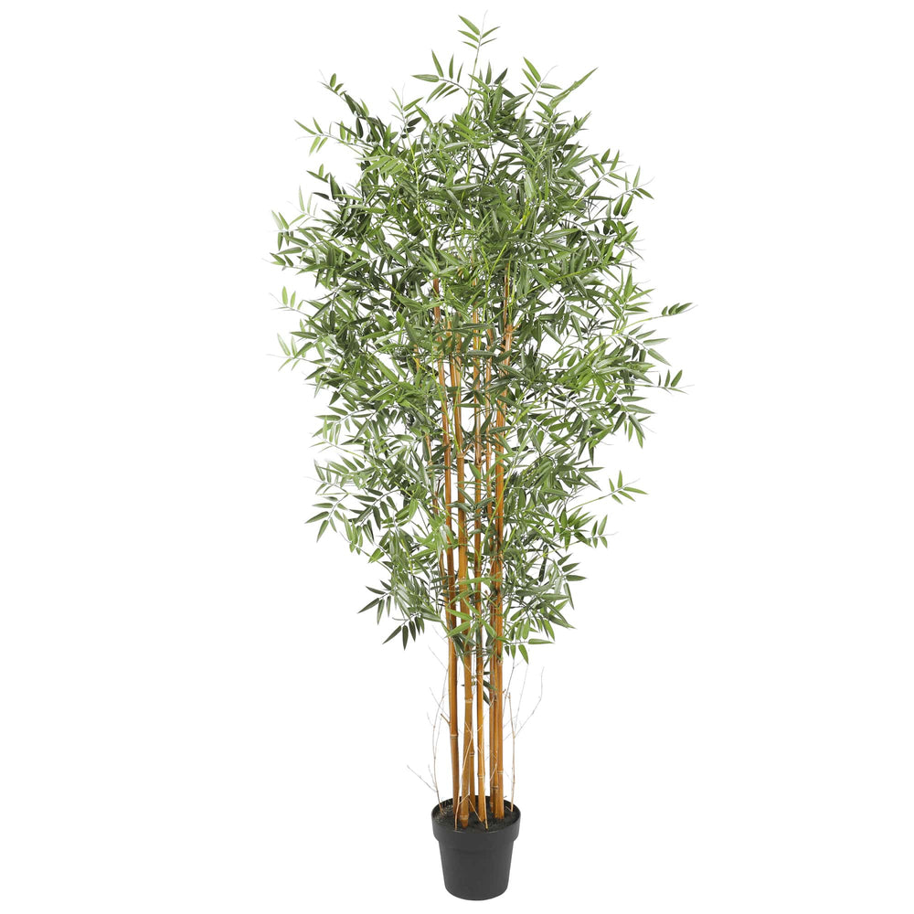 Premium Natural Cane Artificial Bamboo (UV Resistant) 180cm - Designer Vertical Gardens Artificial Trees bamboos