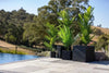 Real Touch Artificial Phoenix Palm Tree UV Resistant 180cm - Designer Vertical Gardens Articial Trees Artificial Trees