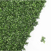 Sample - Boxwood Artificial Hedge Panel (25cm x 25cm) - Designer Vertical Gardens artificial garden wall plants artificial green wall australia