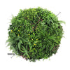 Slimline Artificial Green Wall Disc Art 100cm Country Fern UV Resistant (White) - Designer Vertical Gardens artificial garden wall plants artificial green wall australia