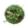 Slimline Artificial Green Wall Disc Art 100cm Grassy Fern UV Resistant (White) - Designer Vertical Gardens Artificial vertical garden wall disc